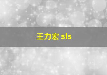 王力宏 sls